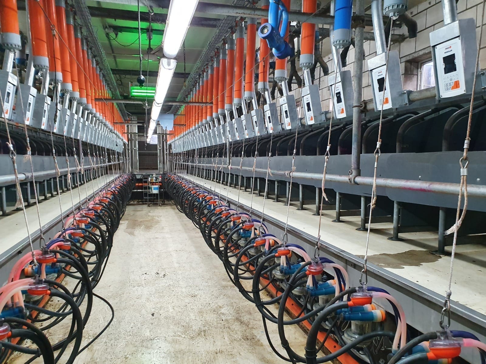 Holland1 40+40 goats, Milk Meter Modular,Frontal Individual ID and software DFM