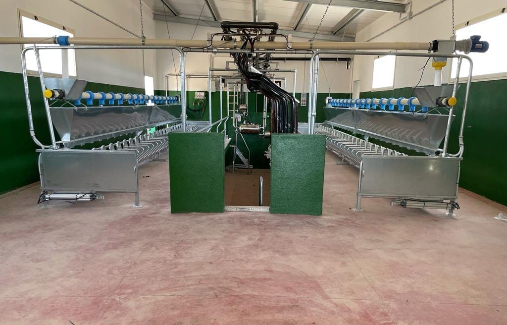 Greece 24+24 Sheep High line