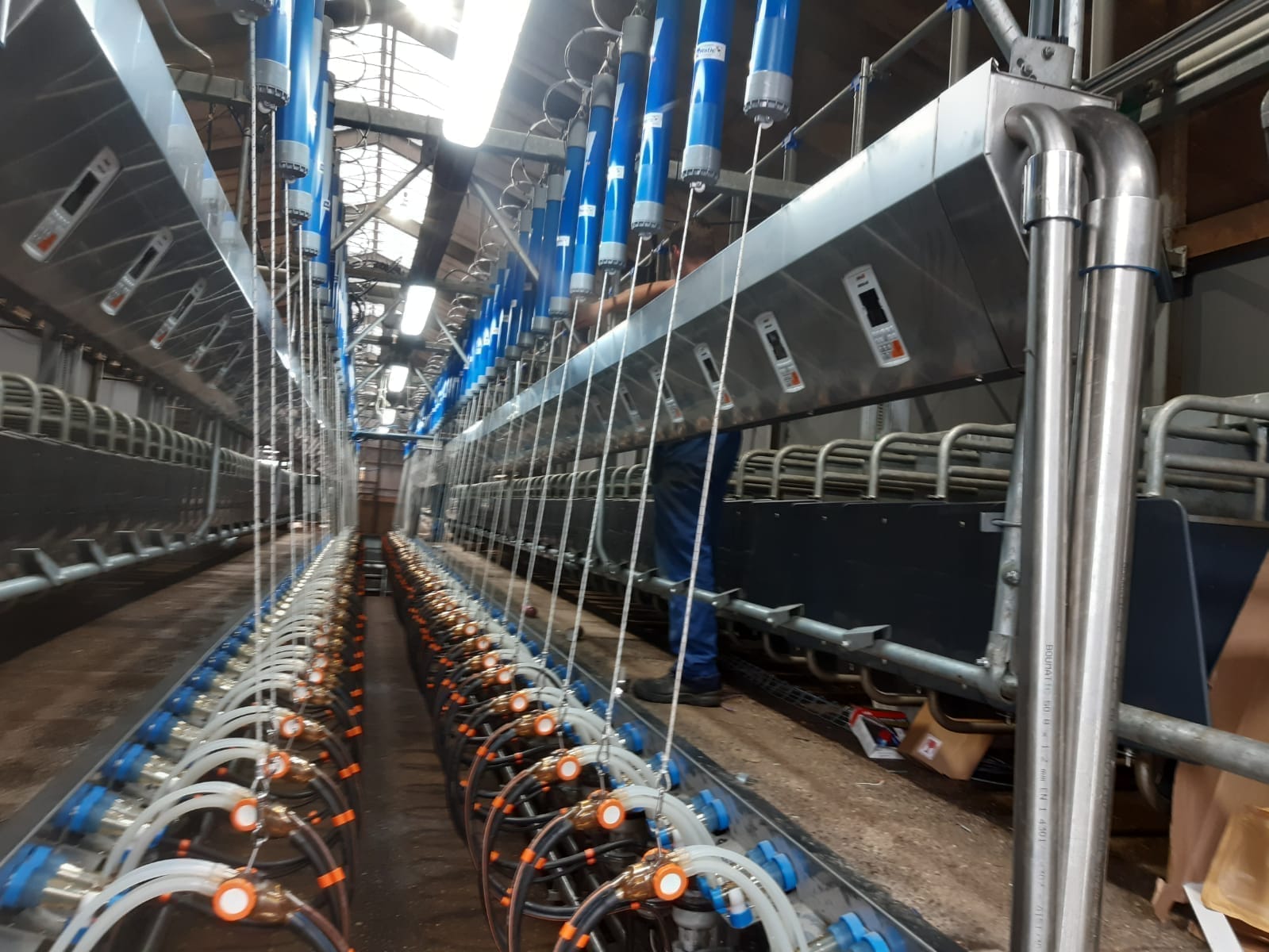 Holland1, 52+52 2500 goatsMilk meter Modular Frontal Individual ID Software DFM