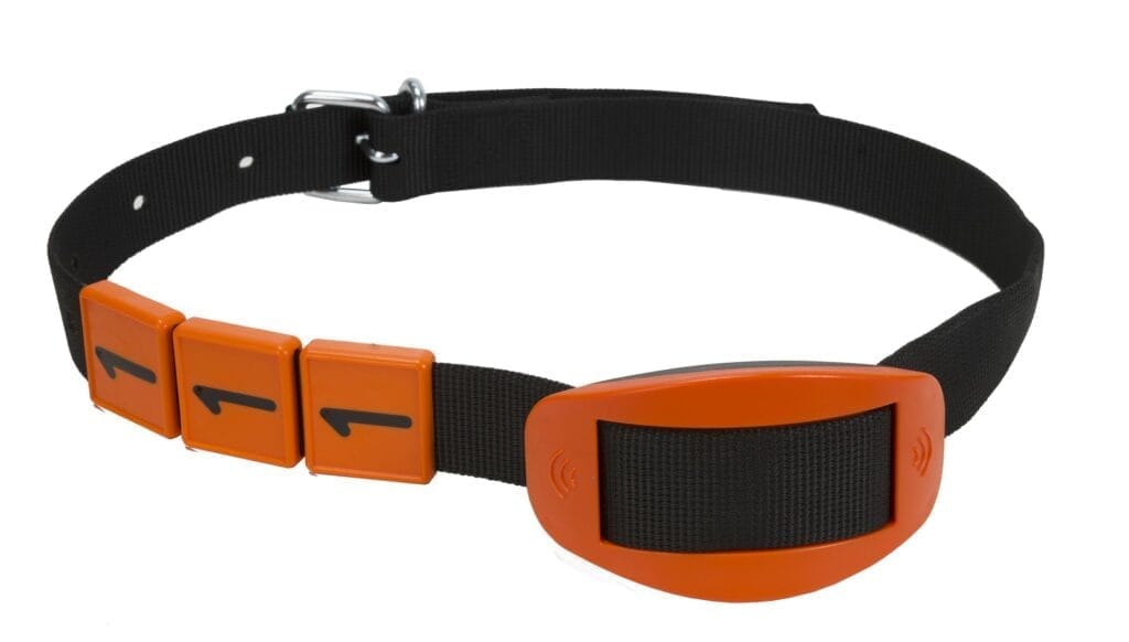 AMC NECK COLLAR